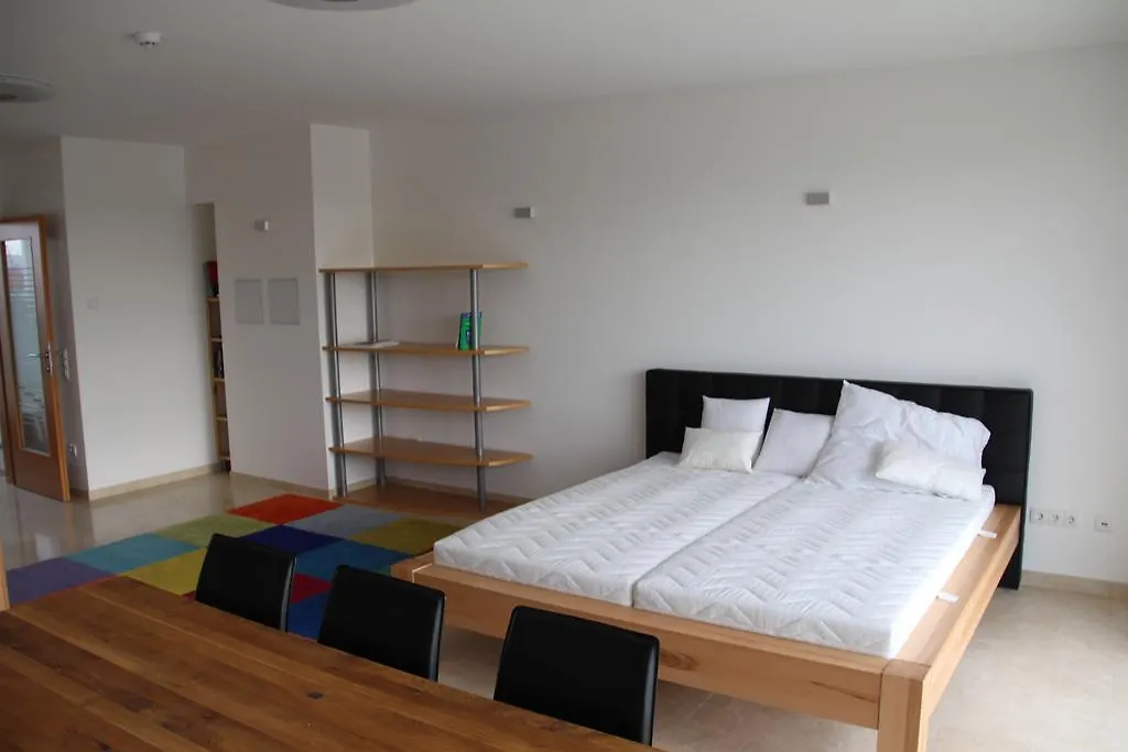 Danube Apartment With City View Austria