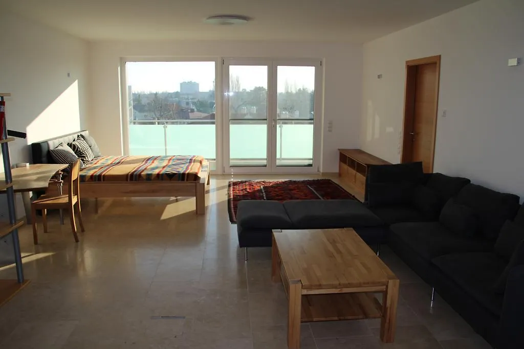 Danube Apartment With City View