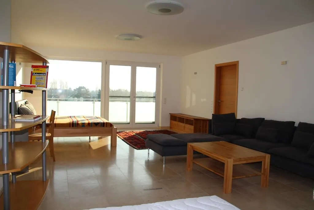 Danube Apartment With City View