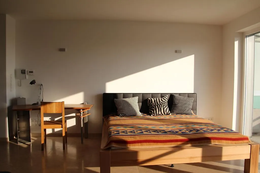 Danube Apartment With City View