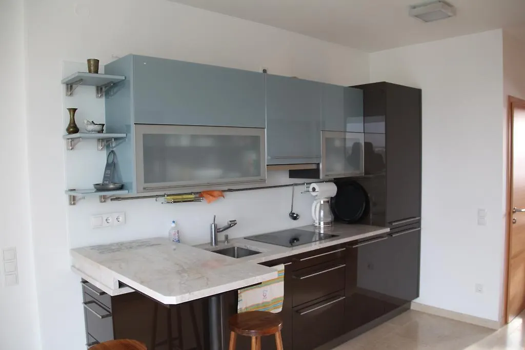 Danube Apartment With City View